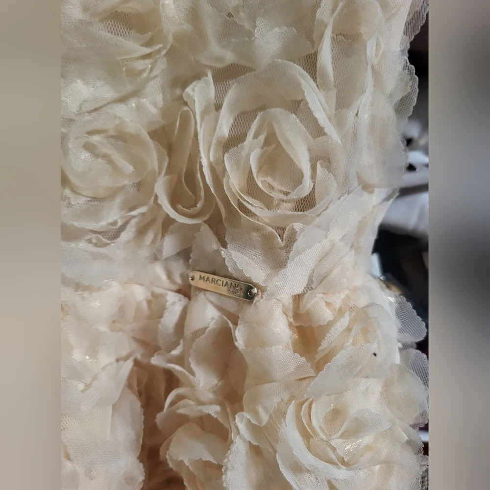 Flower Girl Dress, Roses Gold , PartyDres size 8 - Picture 4 of 14
